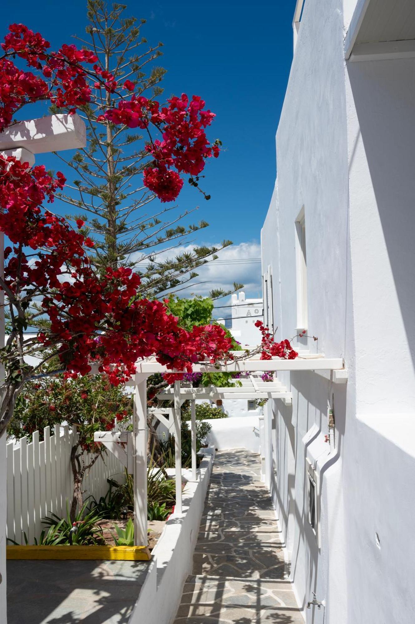 Hotel Boutique Di Vito Mykonos Town Zewnętrze zdjęcie