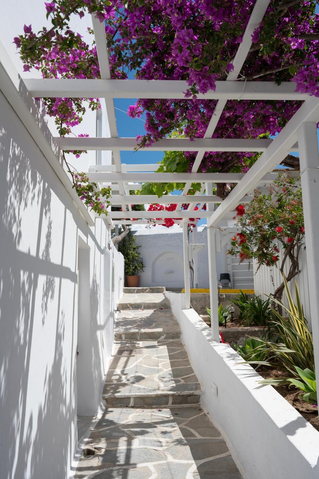 Hotel Boutique Di Vito Mykonos Town Zewnętrze zdjęcie
