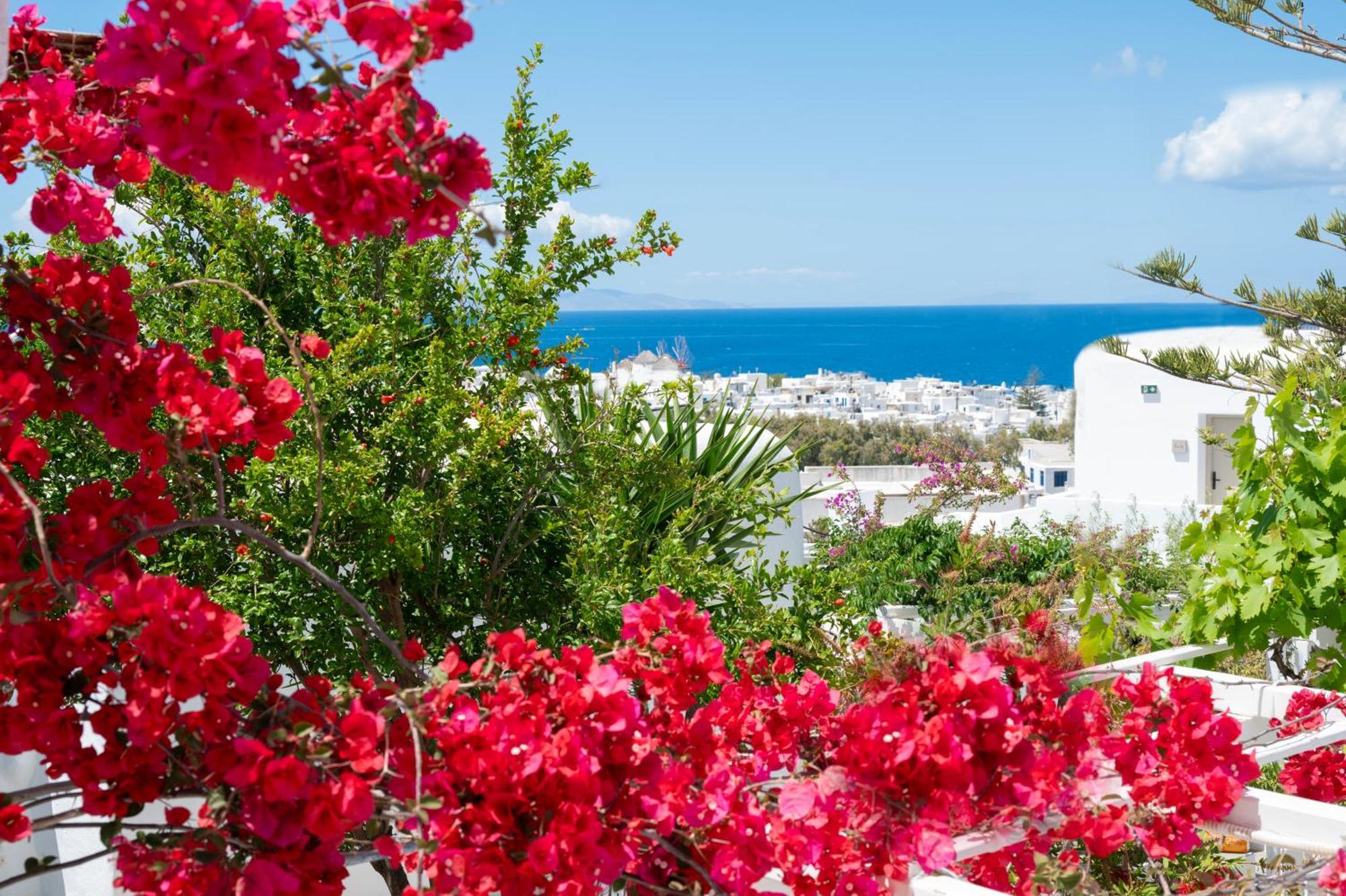 Hotel Boutique Di Vito Mykonos Town Zewnętrze zdjęcie
